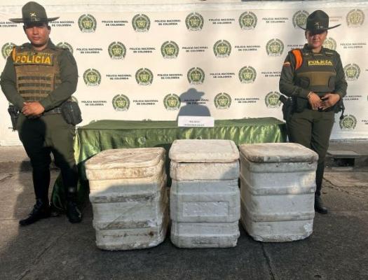 Vigilancia y control al producto hidrobiológico en plazas de mercado de Tuluá