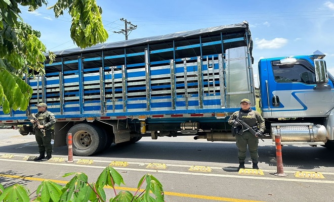 Recuperación de semovientes