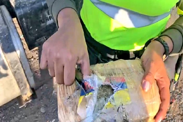 incautacion-marihuana