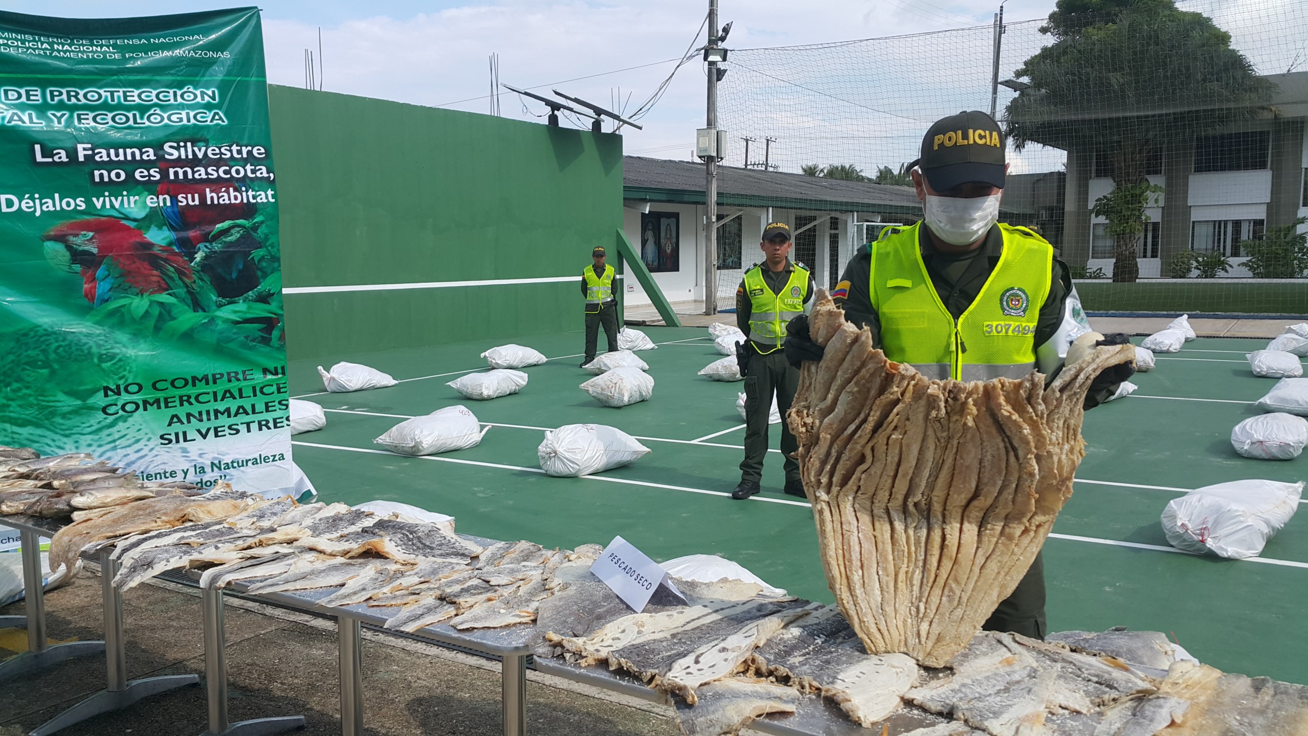 subproducto pesquero representaba un grave peligro para el consumo humano 