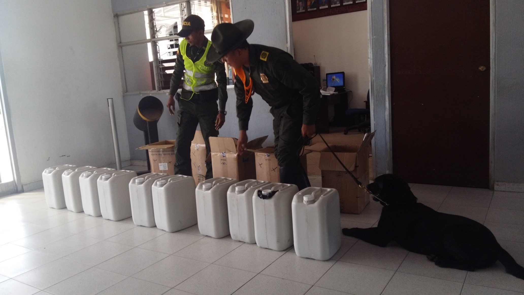 Control-de-guías-caninos