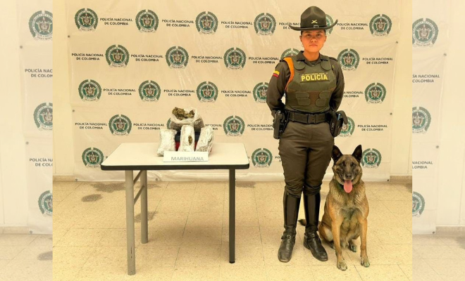 Incautados 1000 gramos de marihuana en empresa de mensajería