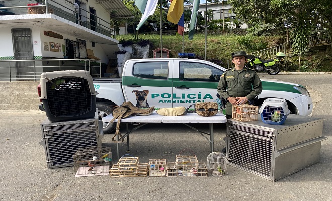 Incautación de especies silvestres en el valle de aburrá