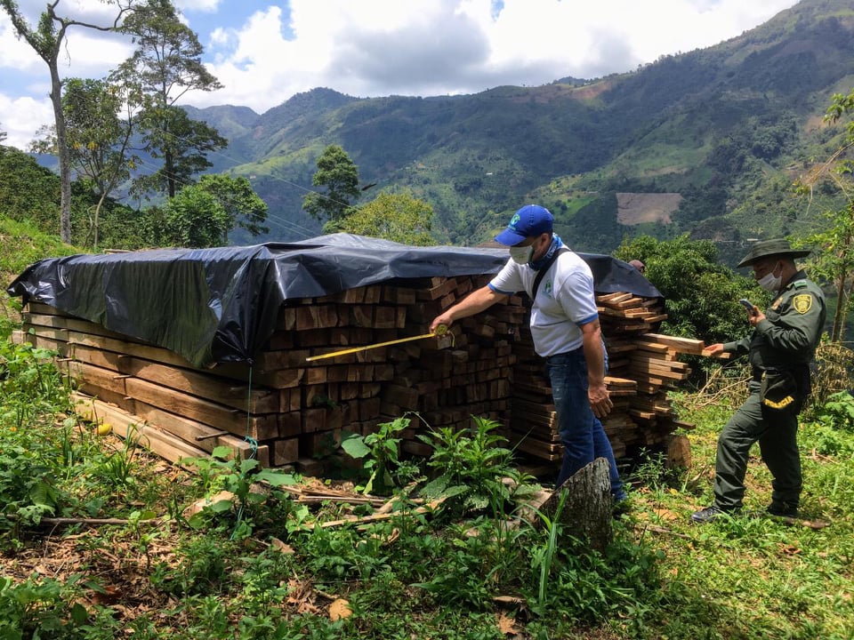 Mediante tres procedimientos incautamos gran cantidad de madera 