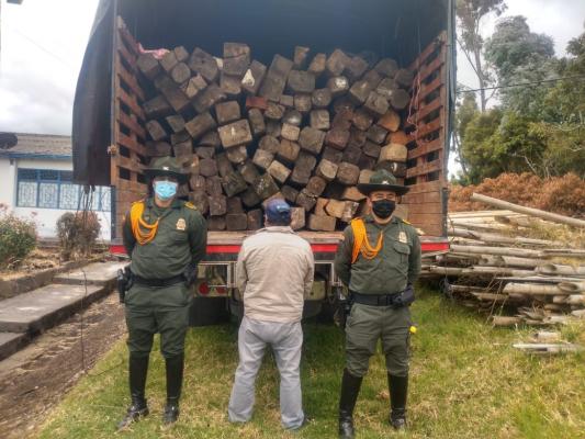 Una persona capturada por el delito de el ilícito aprovechamiento de los recursos naturales renovables