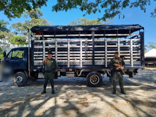 Incautación en San Martín de los Llanos