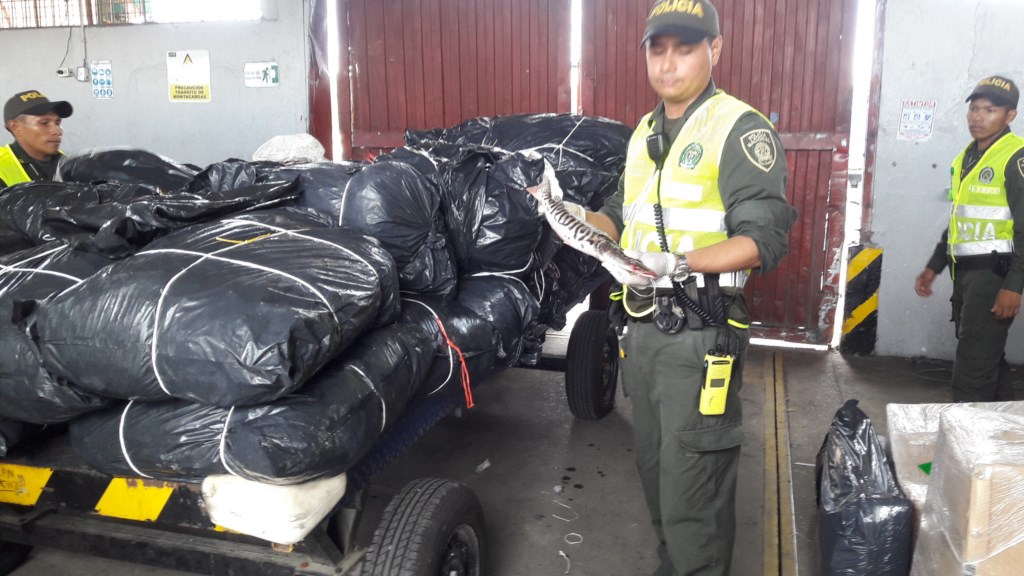La Policia trabaja para prevenir delitos ambientales en la temporada navideña 