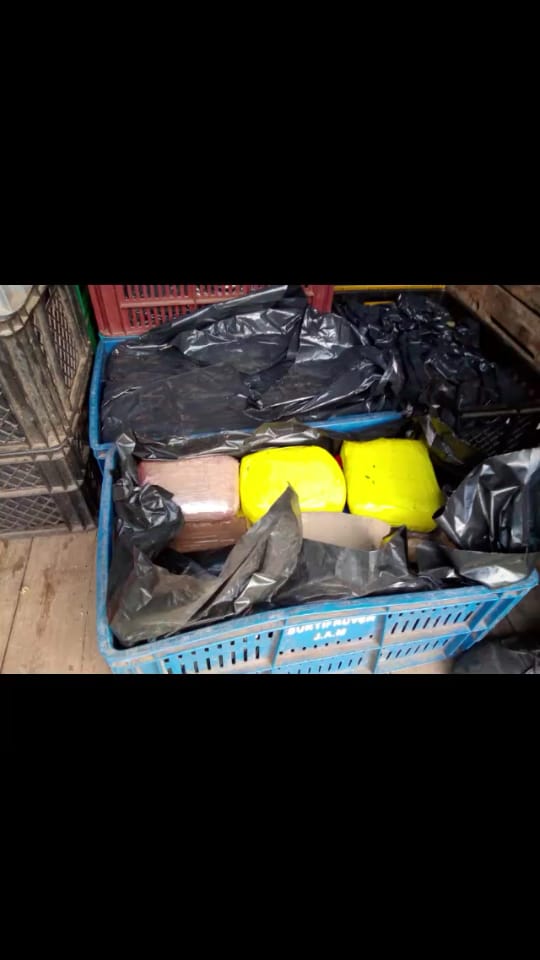 Incautamos-1.127-kilogramos-de-marihuana-creepy-en-Valle-del-Cauca