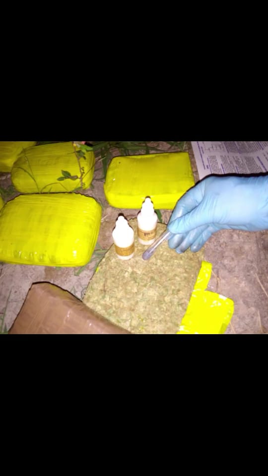 Incautamos-1.127-kilogramos-de-marihuana-creepy-en-Valle-del-Cauca