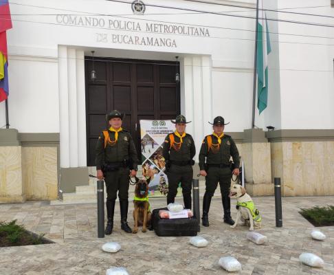 INCAUTAMOS 12.000 GRAMOS DE ESTUPEFACIENTES EN UNA NARCO – ENCOMIENDA