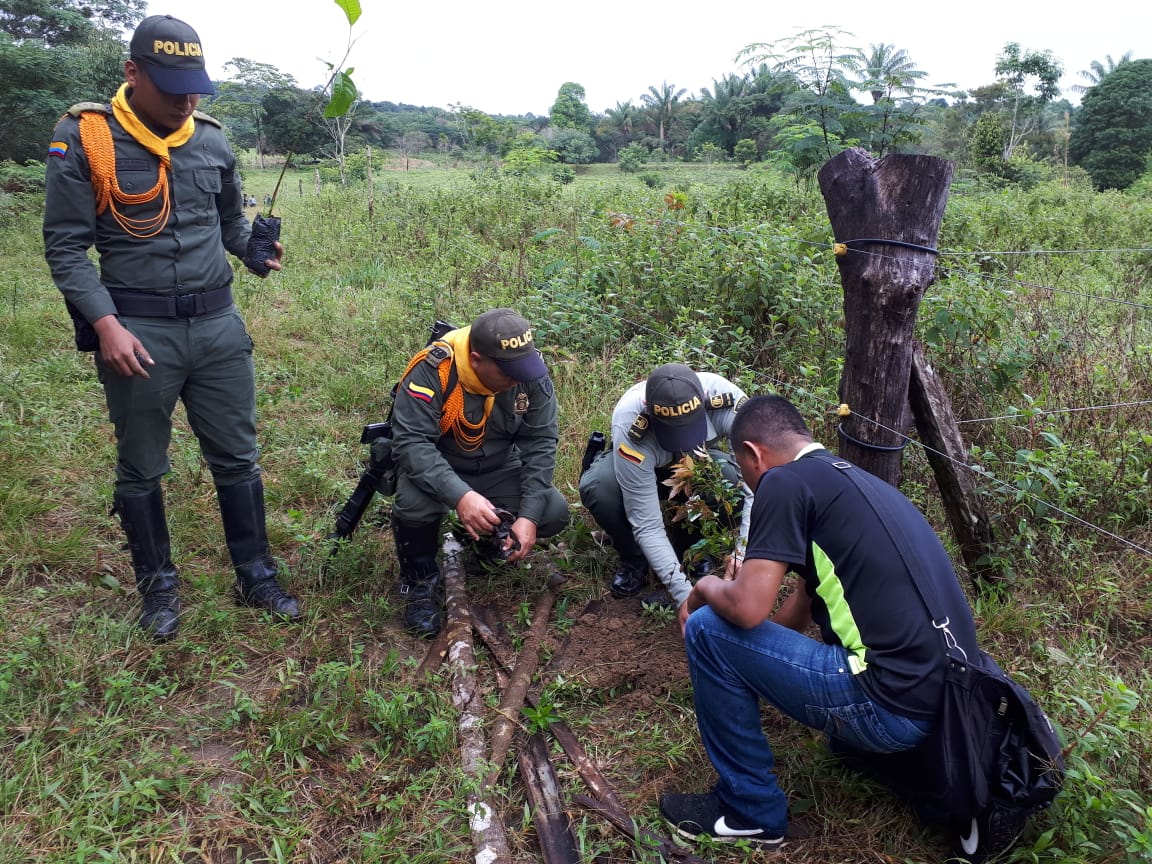 jornada-de-siembra-de-arboles-miravalle-san-vicente-del-caguan