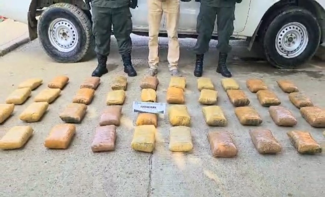 la institución ha incautado más de 260.922 gramos de sustancias alucinógenas