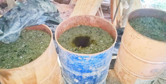 Operativos contra el flagelo de las drogas en Caquetá