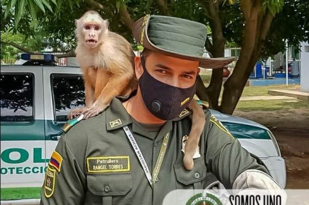 Lideramos-campaña-una-especie-silvestre-no-es-mascota-2