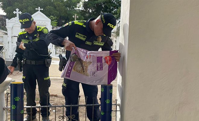 Llenando los dispensadores con comida para gato