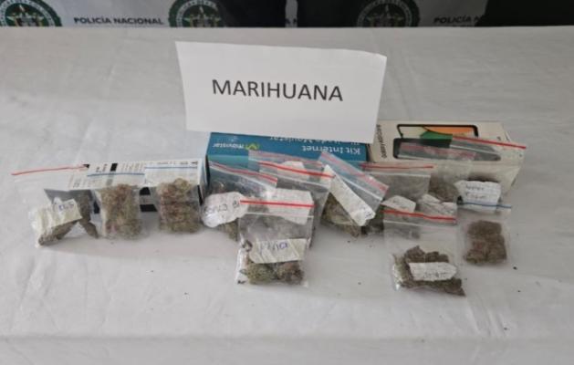 marihuana tipo créepy exótica