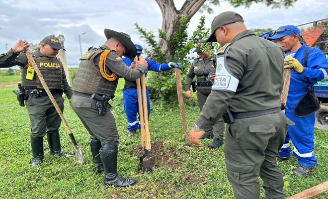 actividad de sembratón en el sector de Punta de Piedra