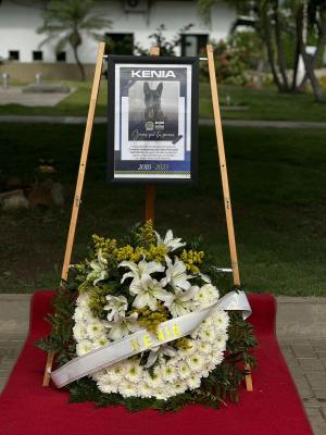 Muri&oacute;-&ldquo;Kenia&rdquo;