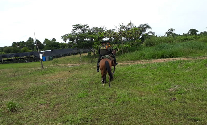 Juntos-contra-el-hurto-fortalecemos-controles-contra-el-hurto-de-ganado-en-el-Meta