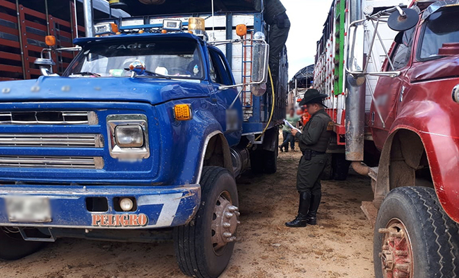 Ofensiva Nacional-contra-el-Delito-combate-el-hurto-sobre-cabezas-de-ganado-en-Meta