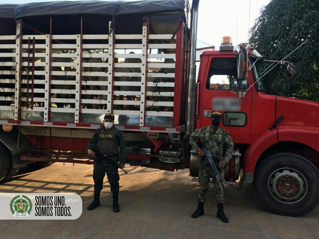 Ofensiva-regional-contra-el-abigeato-permitió-la-incautación-de-126-bovinos-de-dudosa-procedencia-en-el-Departamento-del-Meta2