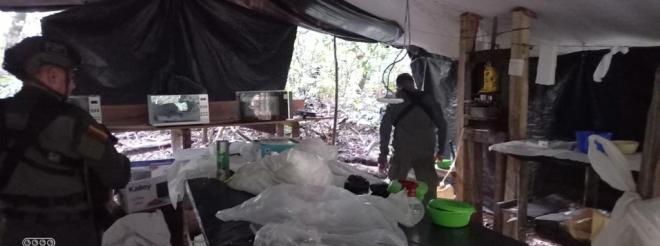 Químicos y estupefacientes incautados  