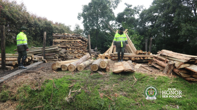 Nueve capturados por deforestación en la Sabana de Bogotá