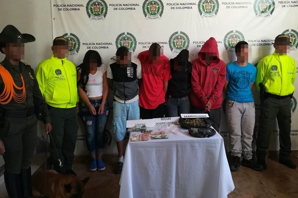 Desmantelado grupo delincuencia organizado 