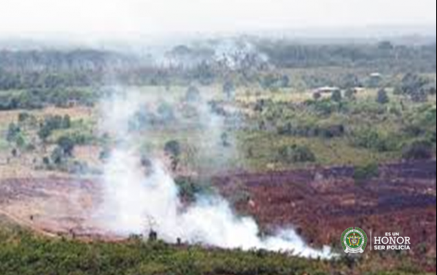 Cinco capturados asociados a la deforestación y operación de ꞌecohotelesꞌ en Caño Cristales