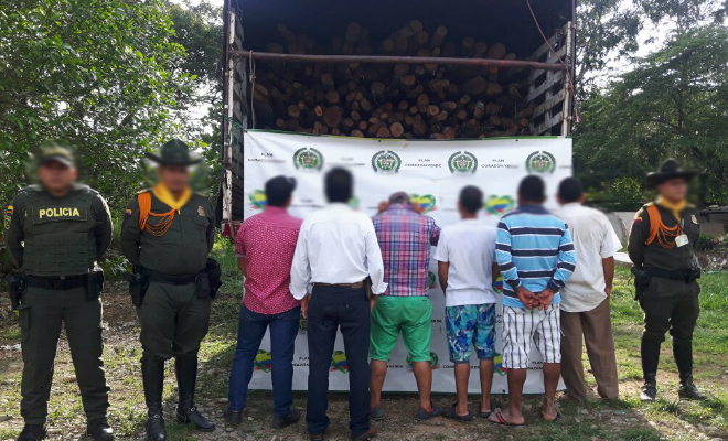 Con-la-“operación roble”-prevenimos-desforestación-en-zona-rural del Meta