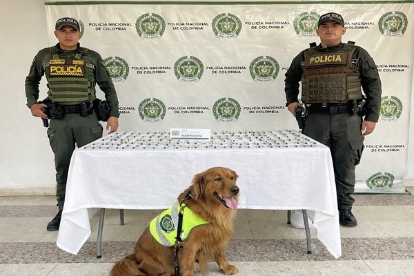 Dos Polic&iacute;as y el canino &ldquo;Tom&aacute;s&rdquo; con la incautaci&oacute;n de estupefacientes