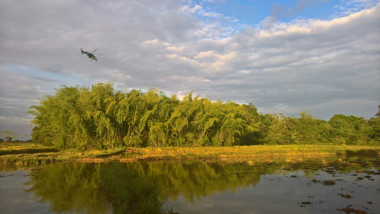 Delincuentes se ocultaban en la vegetación