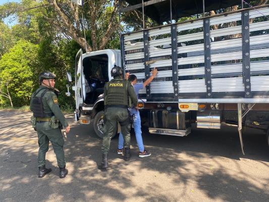 Planes contra el abigeato