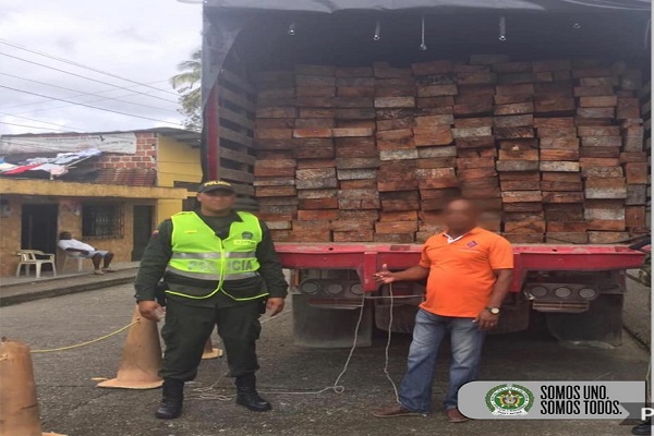 Planes-de-control-ambiental-permitieron-el-decomiso-de-madera-en-Istmina-y-Cértegui