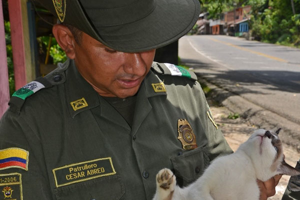 Con refugio, alimentación y con medicina son atendidos las diferentes mascotas.