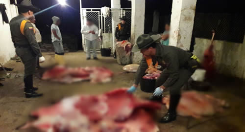 Su seguridad es lo primero