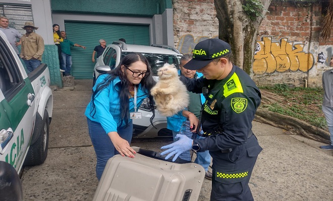 policias rescatan animalitos que se encontraban en malas condiciones 