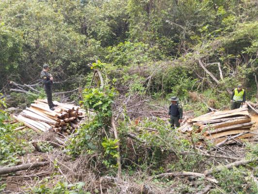 Policía Ambiental en compañía de la "CAM" incautan madera