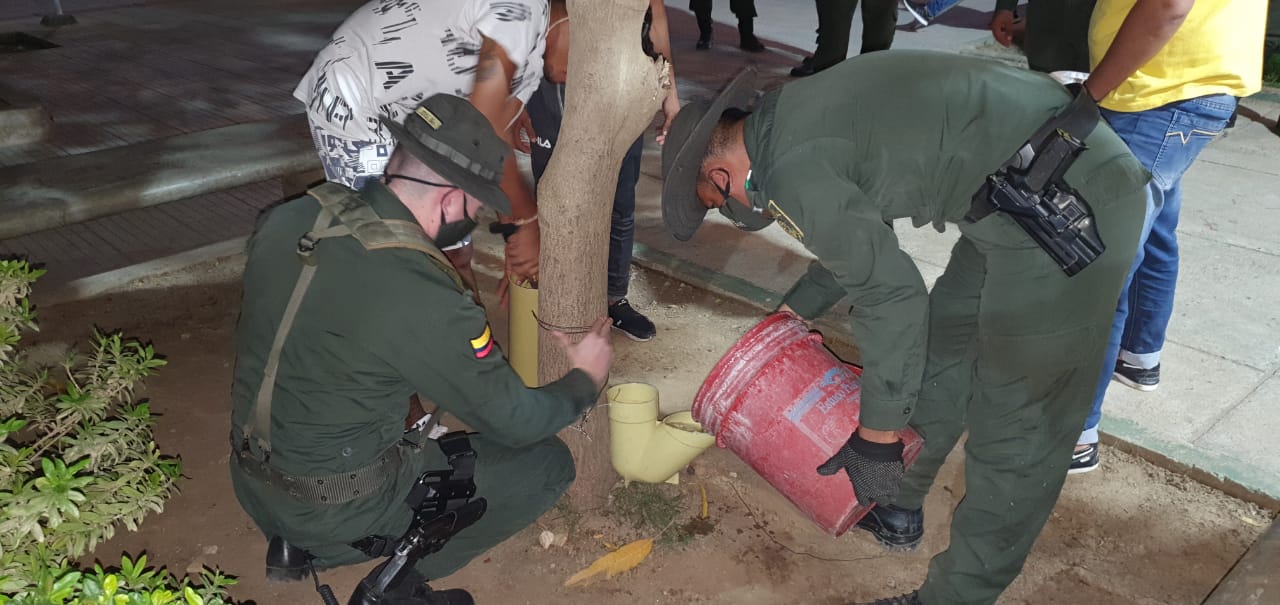 Una iniciativa en beneficio de los “peluditos” 