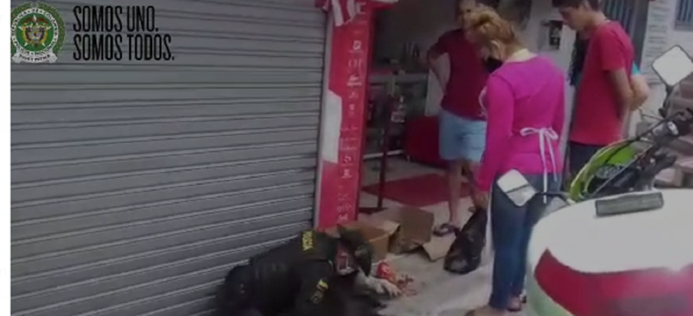 En Ocaña rescatamos a una perrita junto a sus crías 