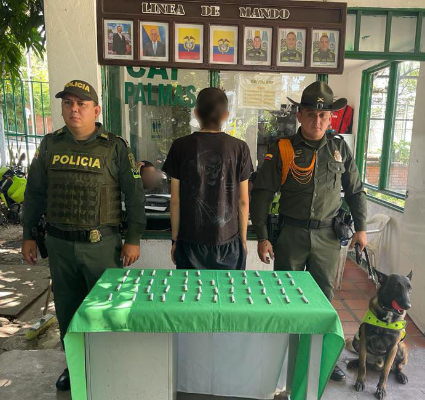 Tenía en su poder su poder 48 dosis de Marihuana