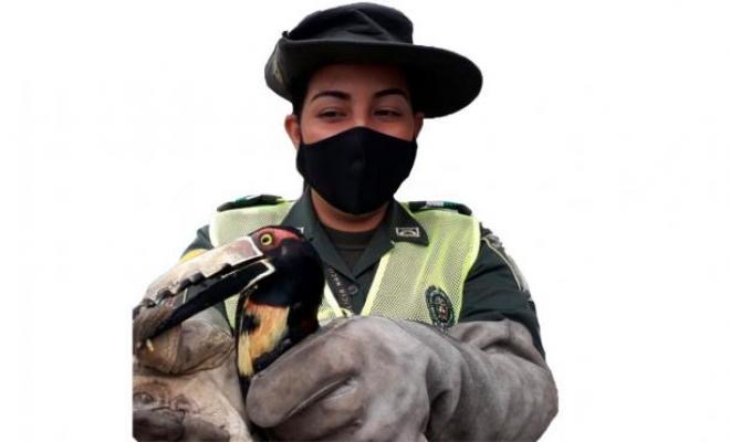 Un homenaje a nuestras heroínas