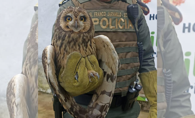 Velando por la protección del medio ambiente