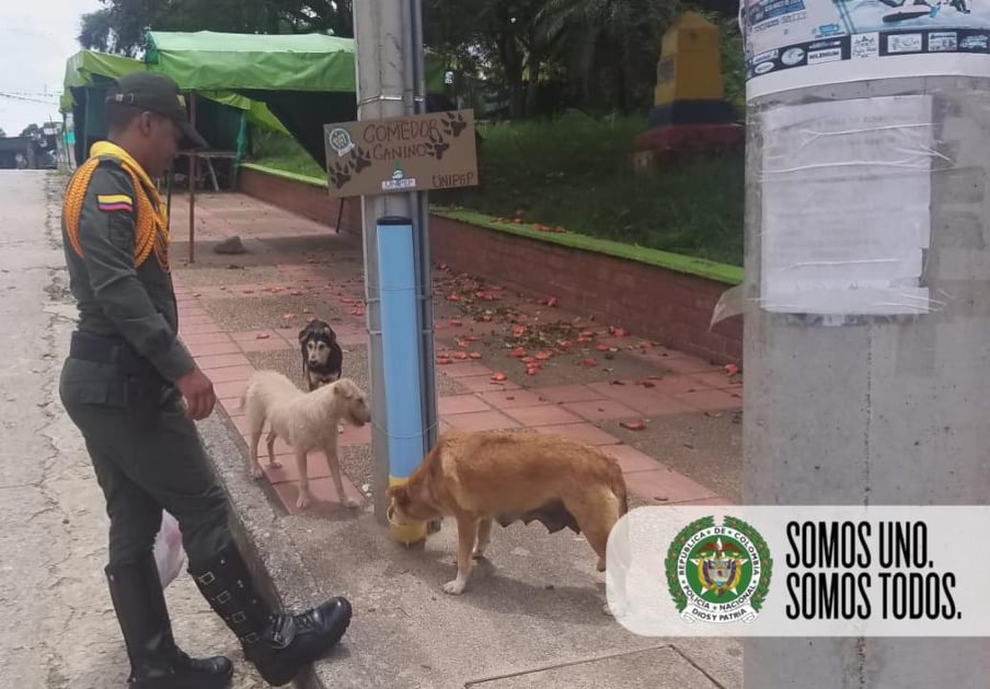 por_los_animales_de_la_calle