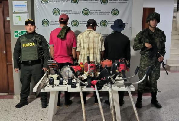 Por tala indiscriminada de árboles deberán responder ante la justicia