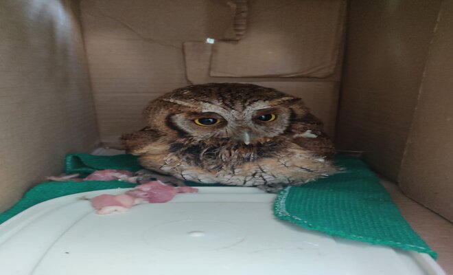 PROTECCIÓN_ DE_ LA VIDA 