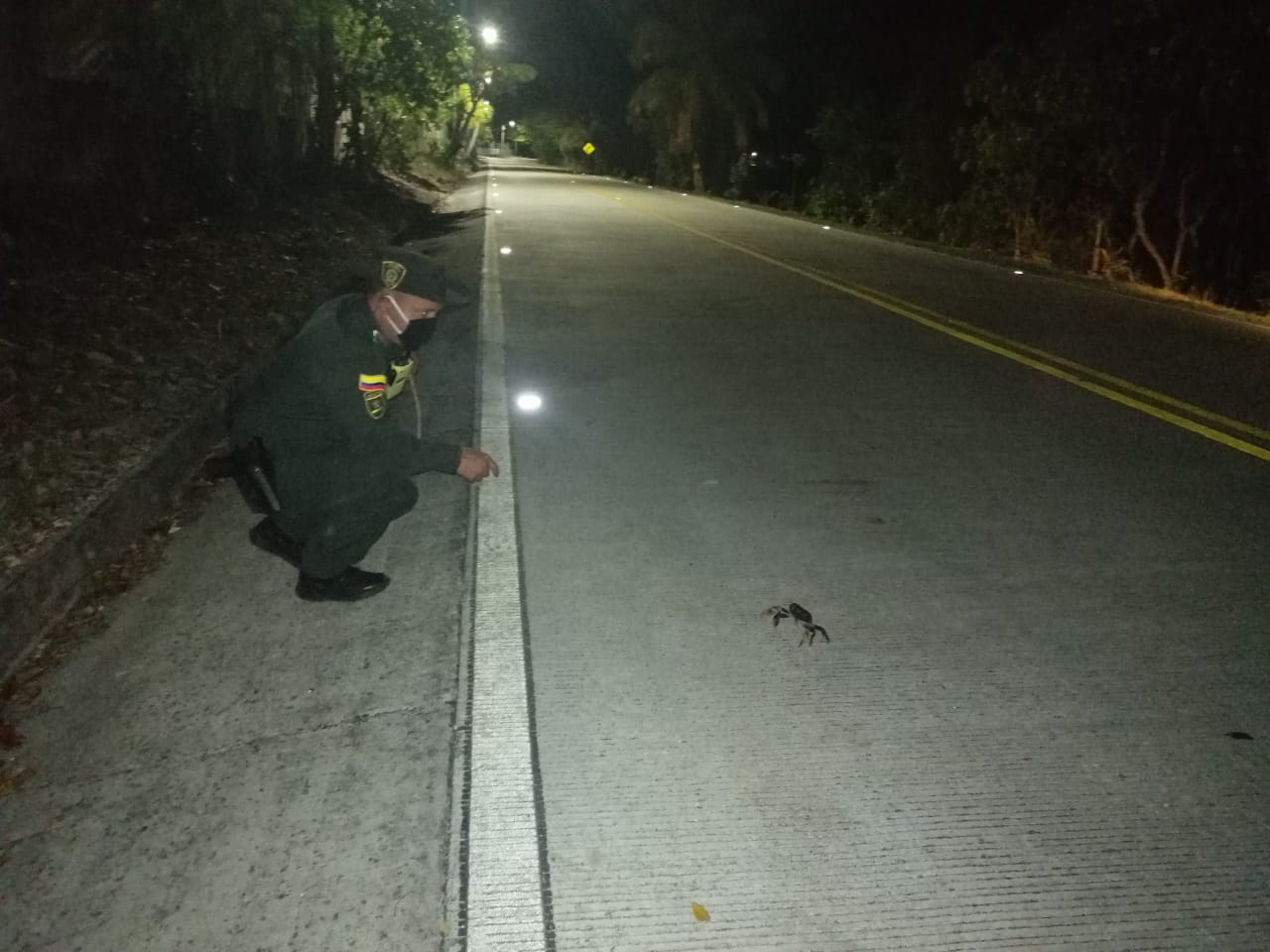 Adelantamos controles nocturnos a la veda de cangrejo negro en las Islas
