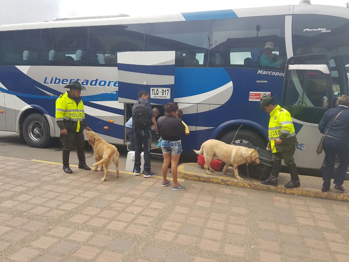 puente-festivo-san-pedro