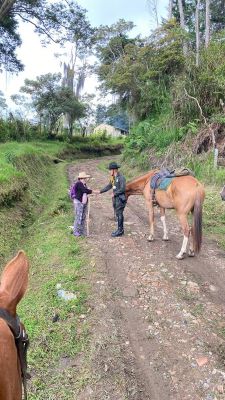 Realización de campañas contra el abigeato