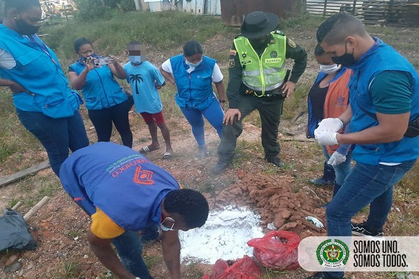 Recolectamos-40-kilos-de-caracol-gigante-en-un-barrio-de-Quibdó